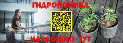 сатива Рязань