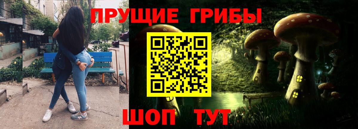 Псилоцибиновые грибы Psilocybe  Вход с VPN  Сальск 